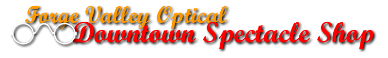 Forge Valley Optical - Downtown Spectacle Shop Banner