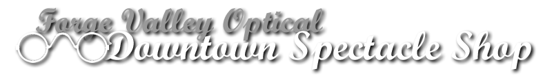 Forge Valley Optical - Downtown Spectacle Shop Banner